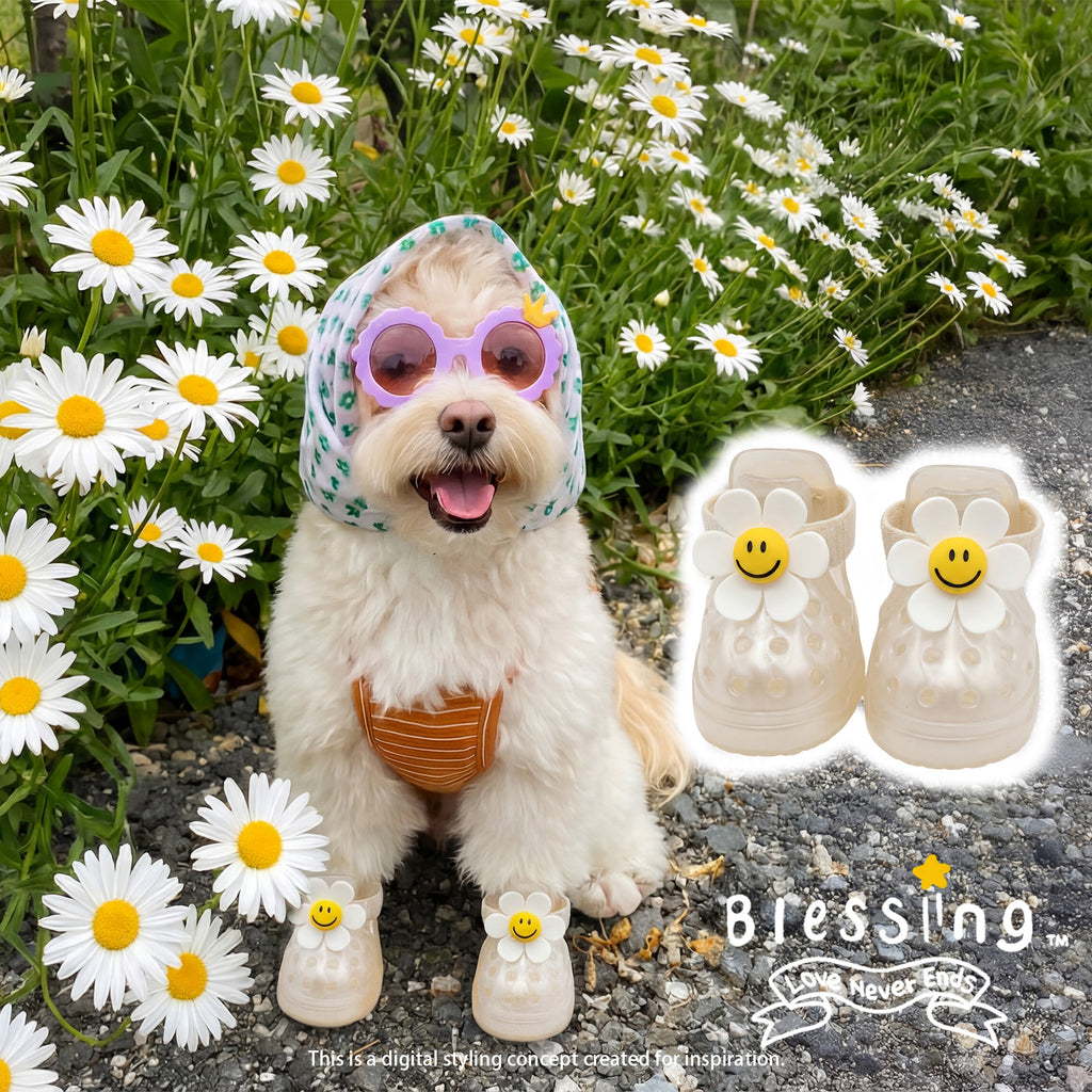 Smiling Daisy Shoe Charms | 笑脸小雏菊鞋扣 - V2 Dog Sandals Exclusive