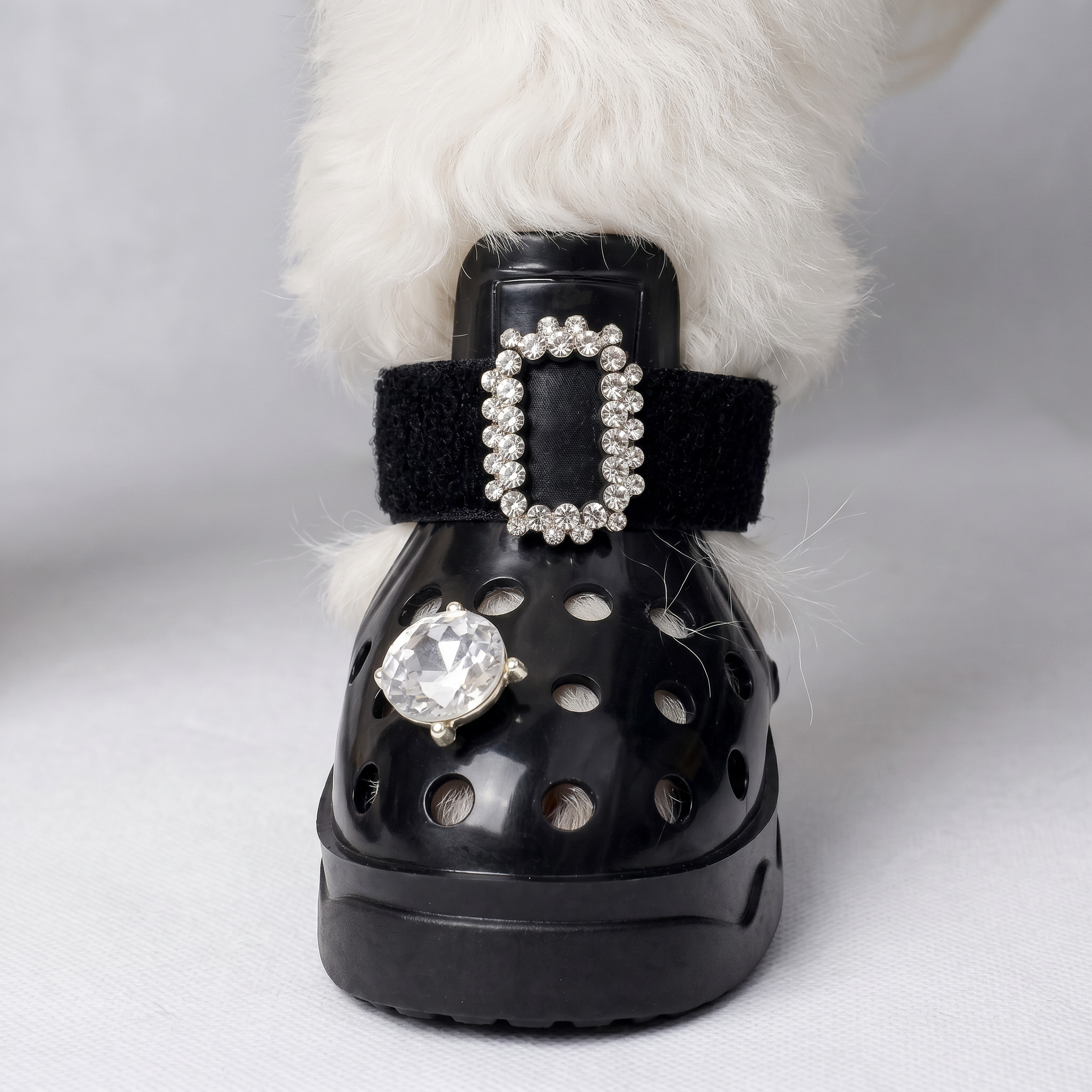Close-up of a white maltese dog wearing Blessingmychild luxury black swan sandals with a majestic crystal buckle and solitaire diamond charm