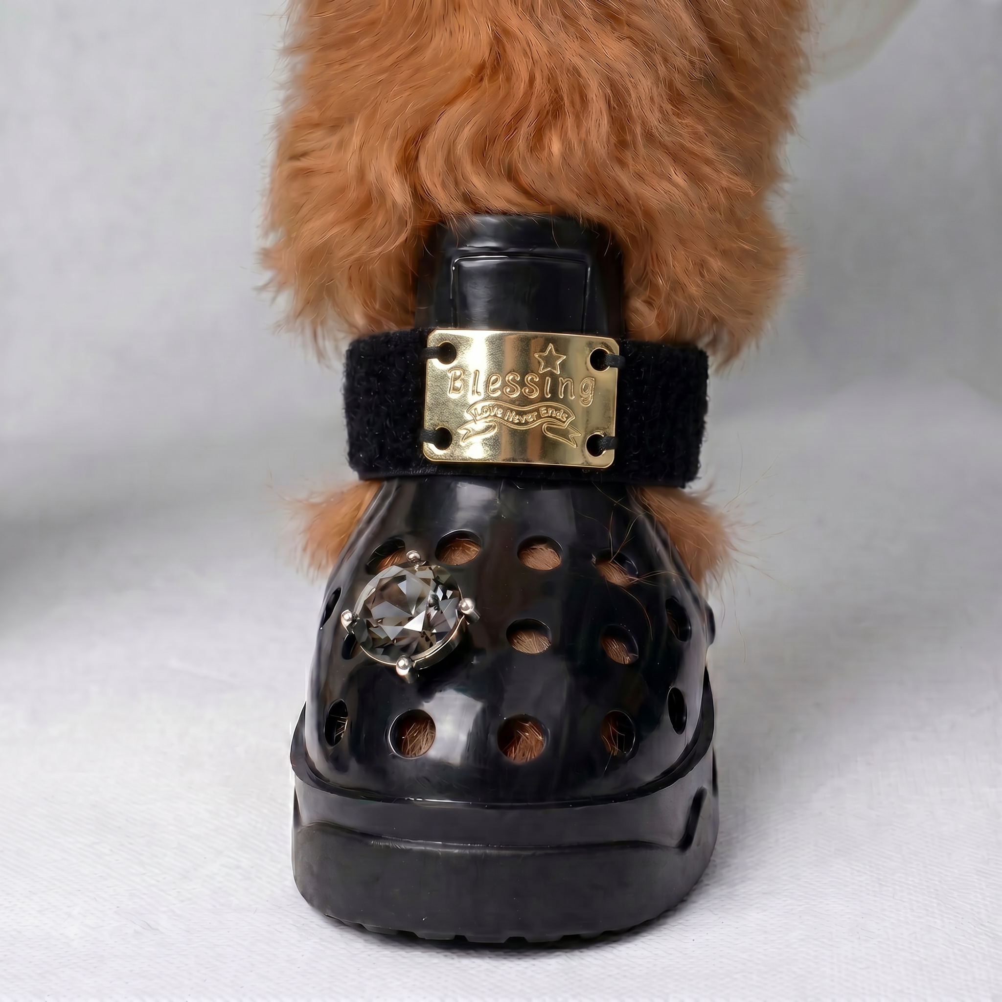 Close-up of a poodle wearing Blessingmychild classic V1 black dog sandals featuring signature engraved gold plates and proposal diamond charms
