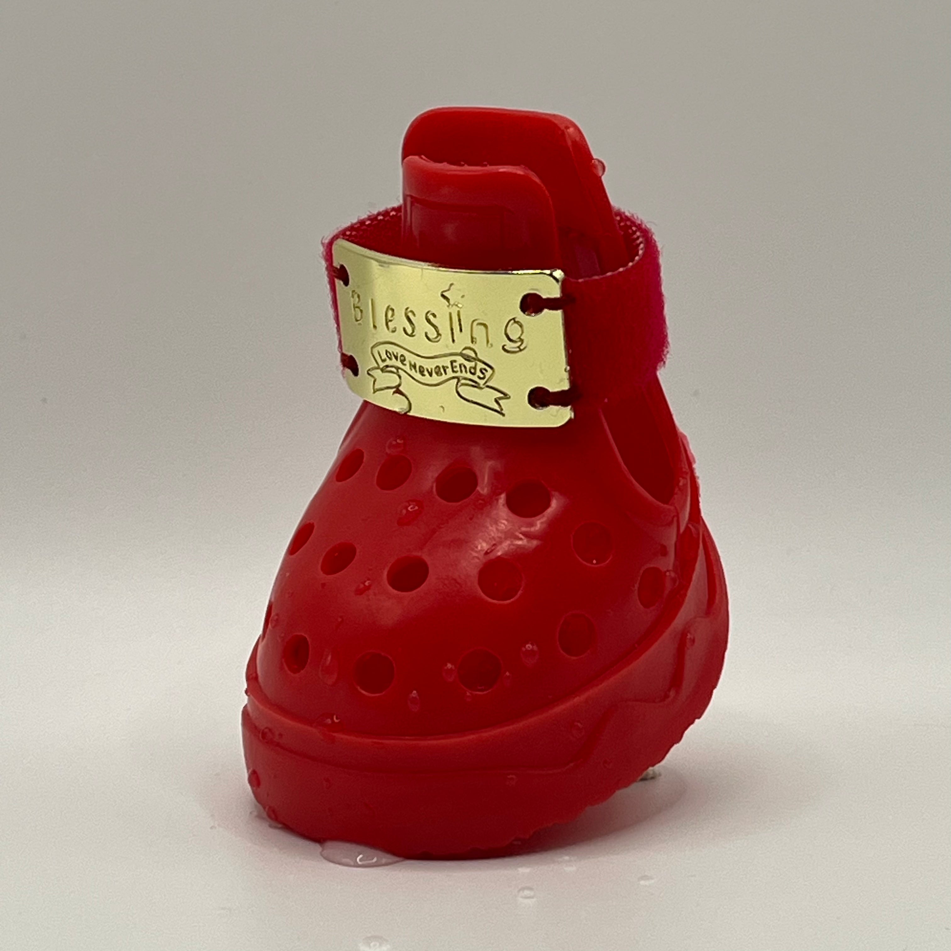 Macro shot of Blessingmychild classic V1 dog footwear engraved gold plate with love never ends brand motto