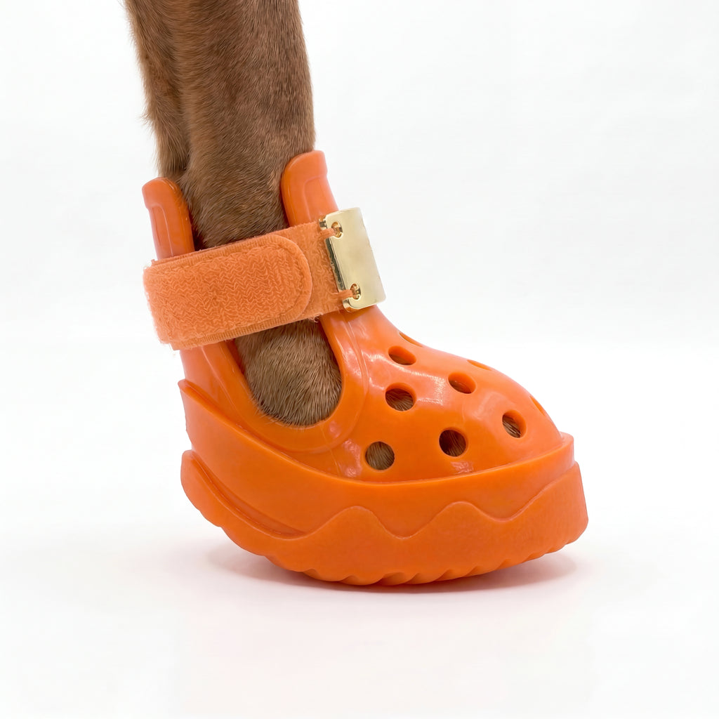 Side close-up view of a dog's paw wearing Blessingmychild V1 luxury Kelly Orange sandal showcasing the secure fit and ventilation holes
