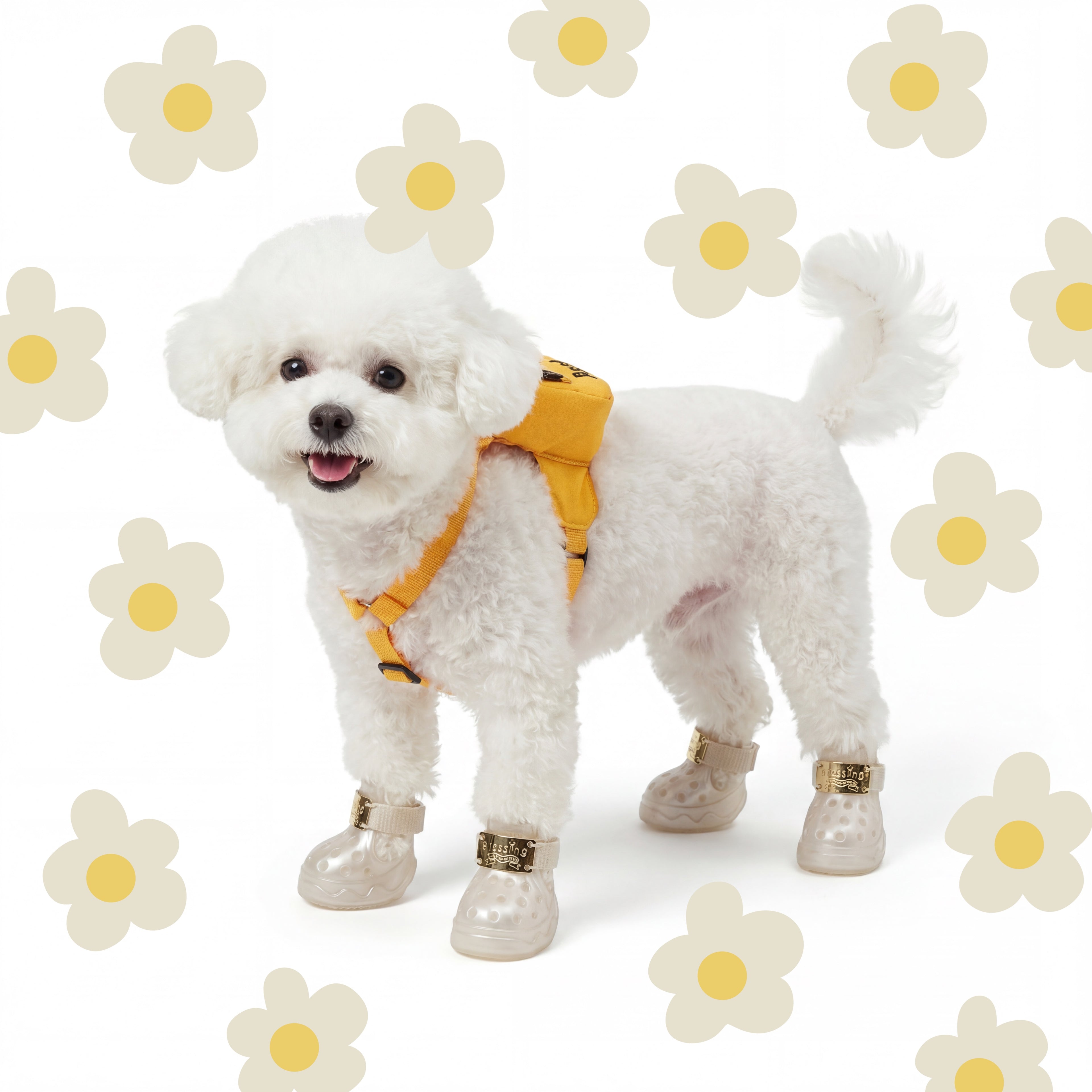 A fluffy white Bichon Frise dog standing against a white daisy background wearing Blessingmychild V1 classic pearl white pet sandals
