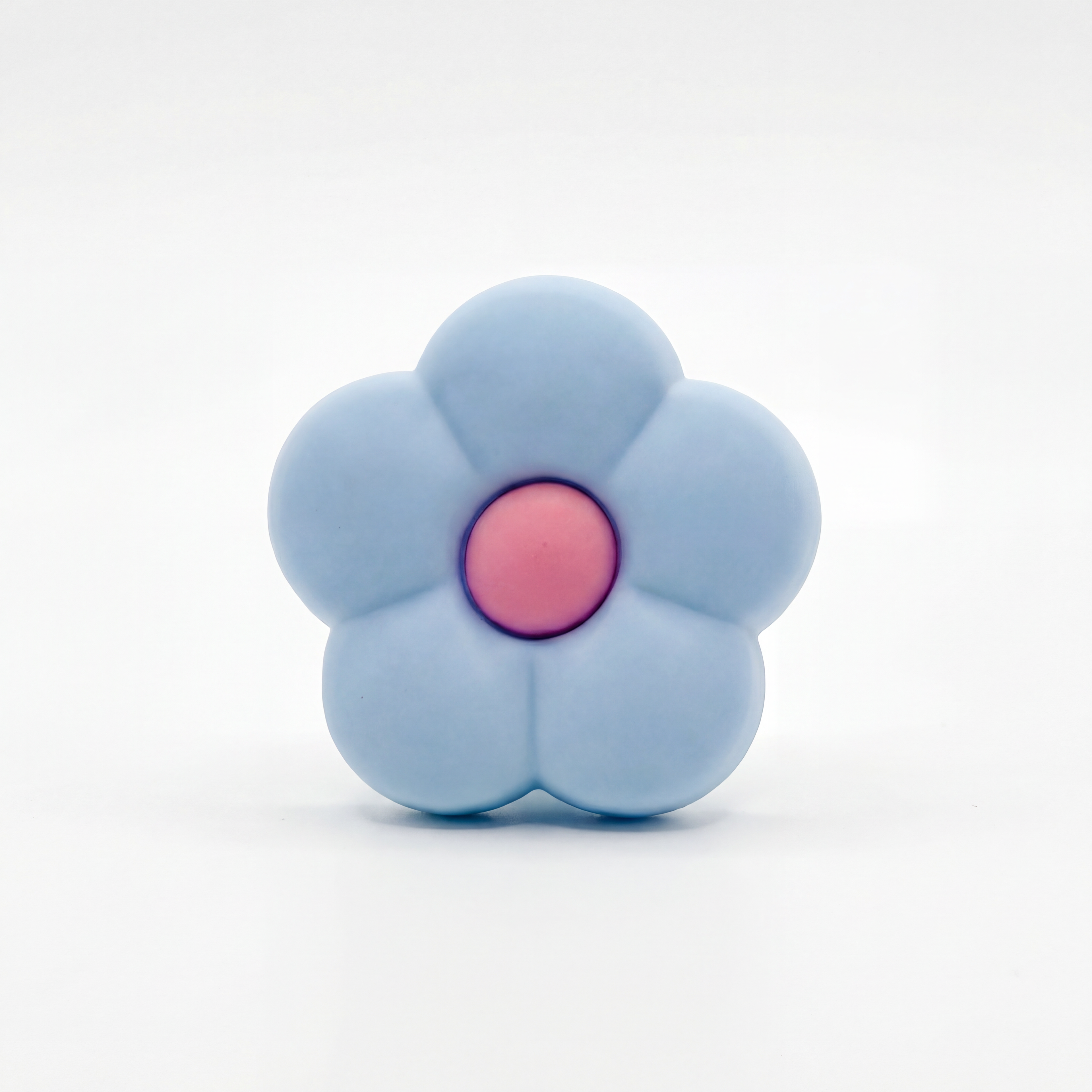 BLUE PINK FLOWERS - CHARMS SET