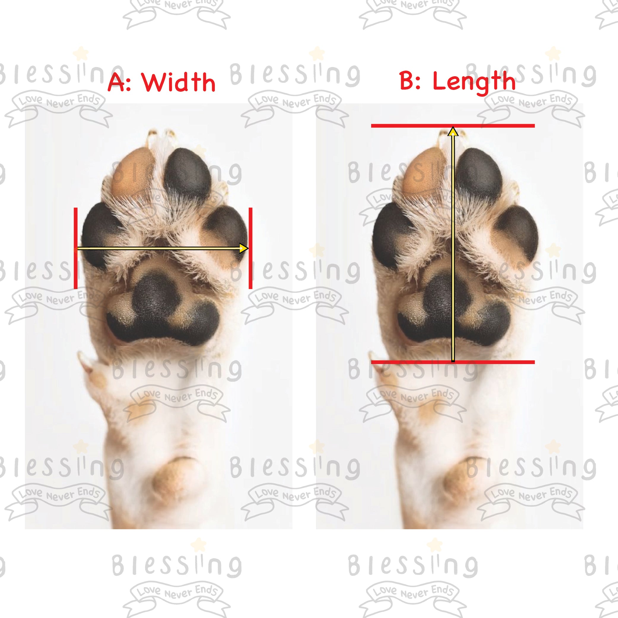 Step-by-step measurement guide template showing how to measure dog paw width and length for Blessingmychild protective pet footwear
